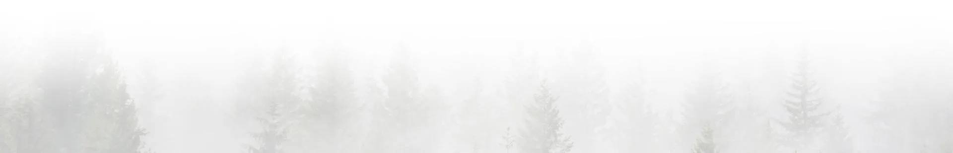 المعايير البيئية